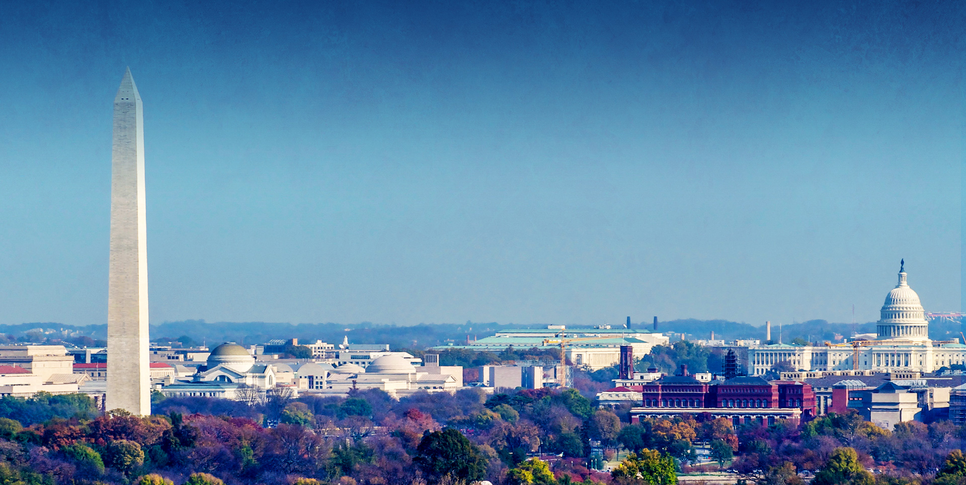 Tampa Bay Federal Employment Law Attorney Legal Lion Employment Law