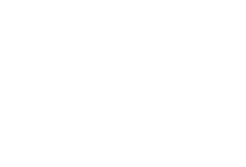 Legal Lion Employment Law Firm PLLC